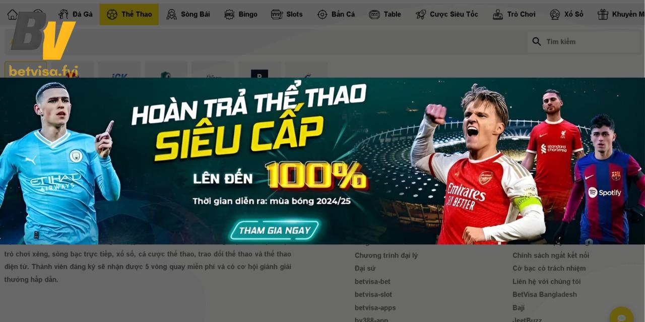 A detailed view of the app's sports information interface, reflecting a professional design.